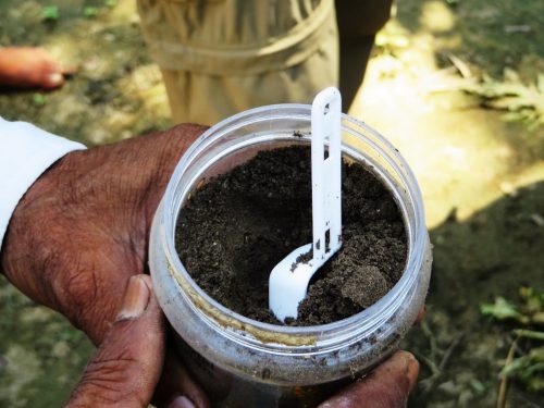 A jar of humanure after being naturally processed in the collection pit of an eco-san toilet [image by: Avash Pandey]
