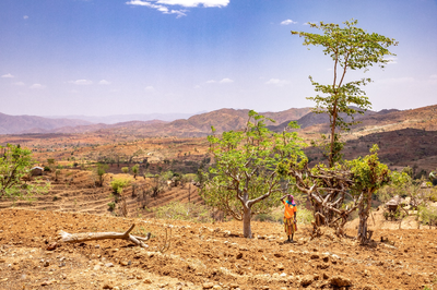 During the dry season in Ethiopia, there is no water in the river and farmers must dig through the sand until they hit water.
