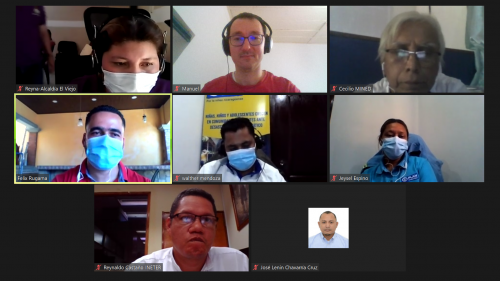 Plan International colleagues during virtual visit.